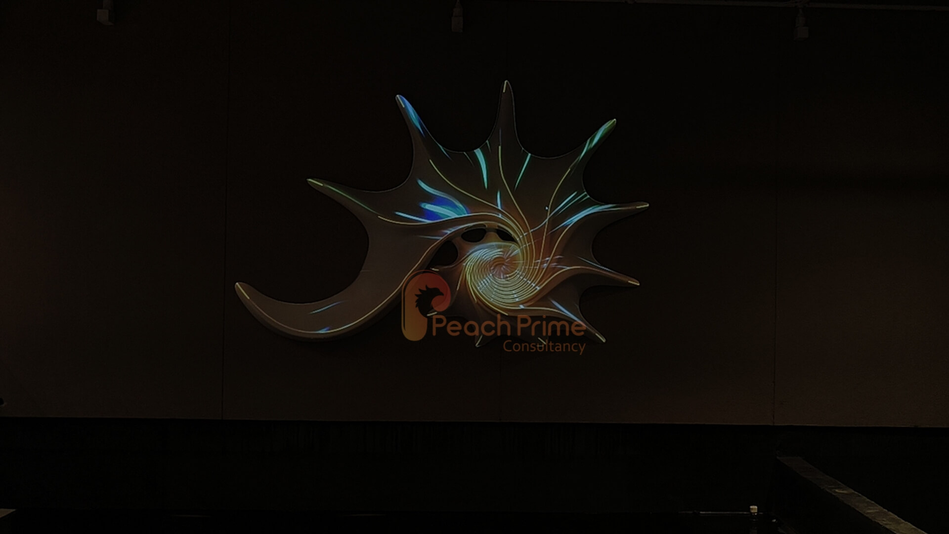 Seashell 3D projection - peach prime consultancy