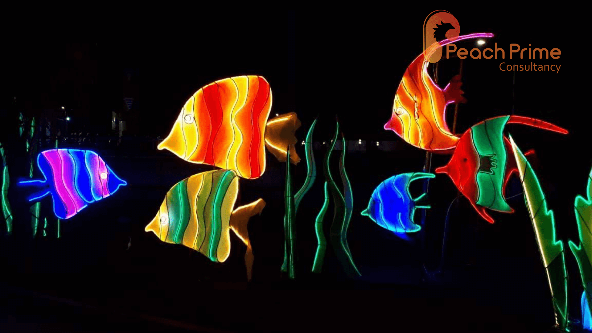Aquatic theme Glow garden at Aatapi wonderland