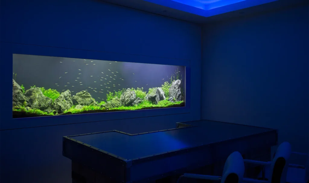 Aquarium lighting setup