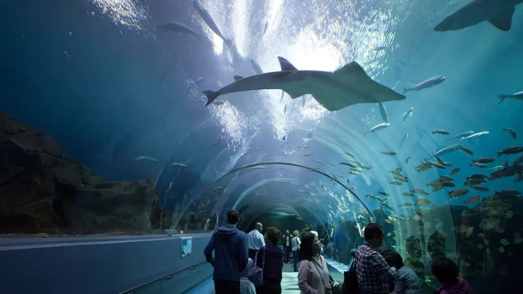 World’s best aquariums