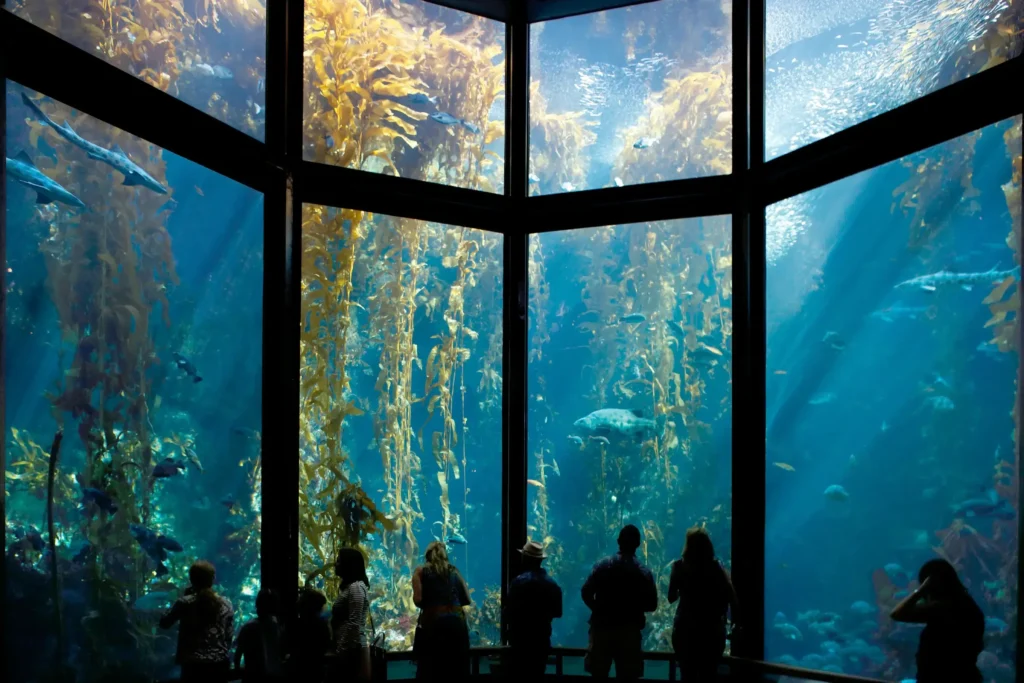 World’s best aquariums