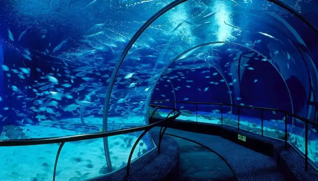 Top aquariums in Asia