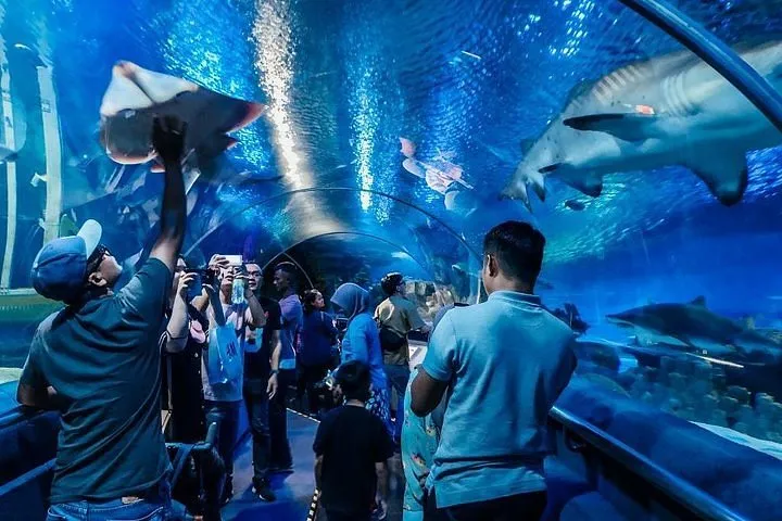 Top aquariums in Asia