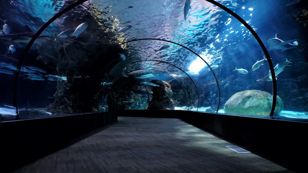 Advanced aquarium technologies for an enhanced visitor experience