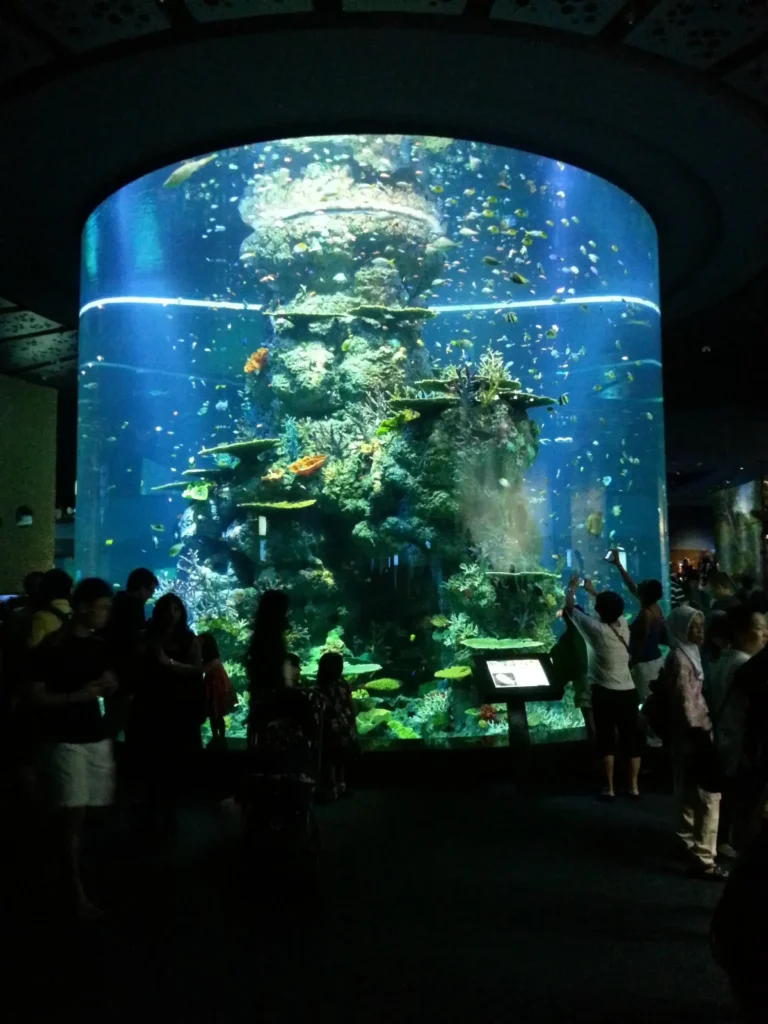 Advanced aquarium technologies for an enhanced visitor experience