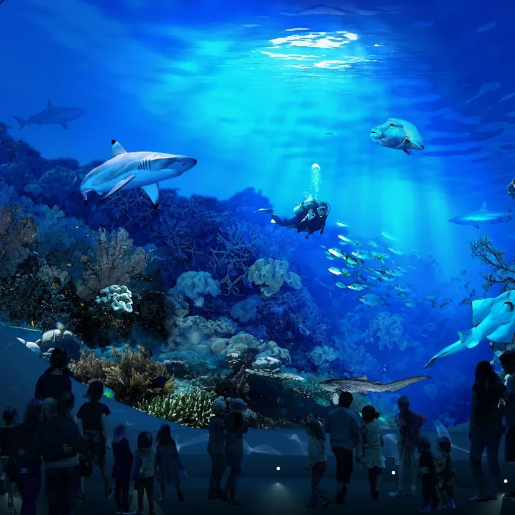 Aquarium sponsorship tips